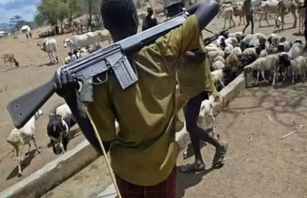 Fulani herdsmen raping our Wives, children – Anambra communities cry out